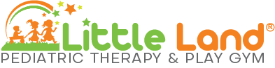 Little Land Pediatric Therapy & Play Gym